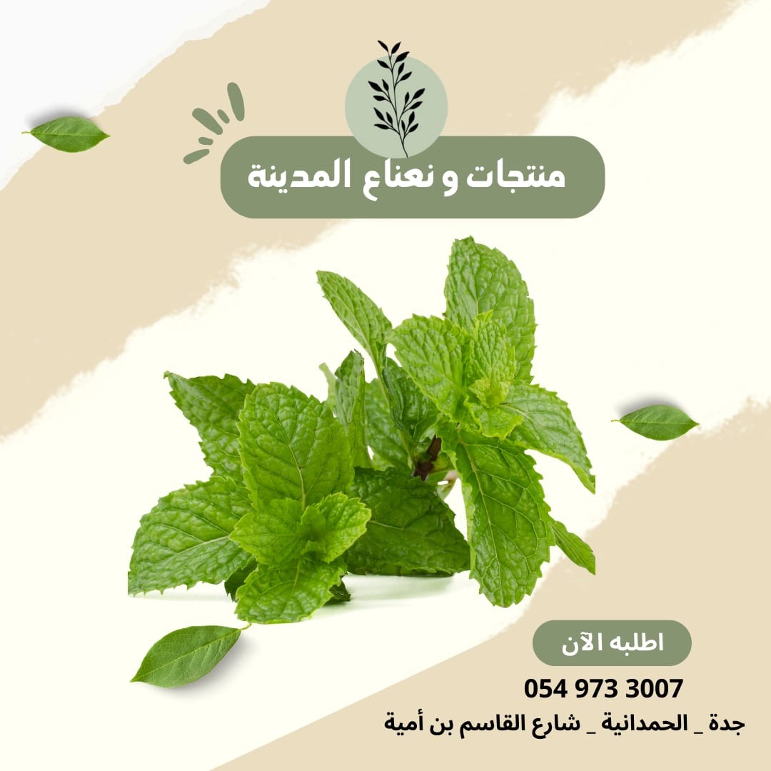منتجات ونعناع المدينة