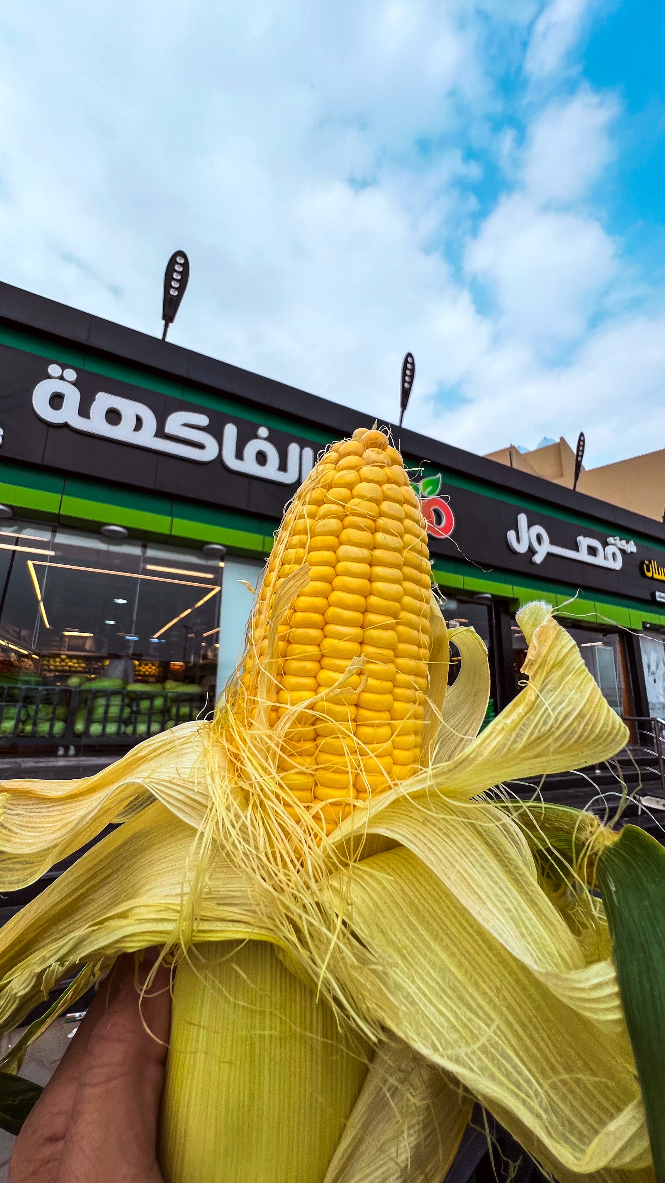 فصول الفاكهة
