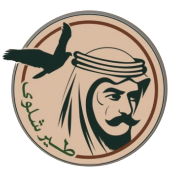 طير شلوى