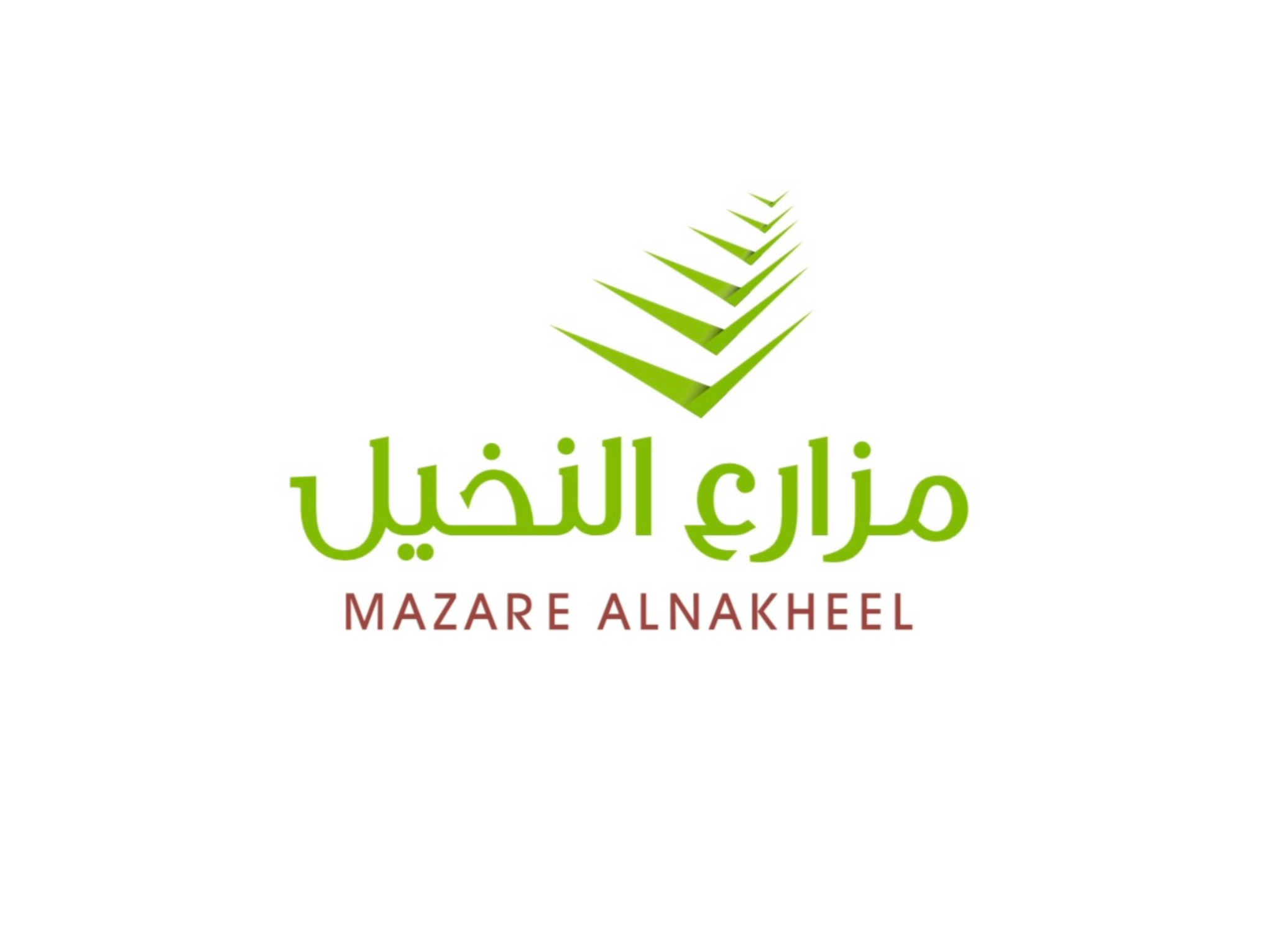 مزارع النخيل