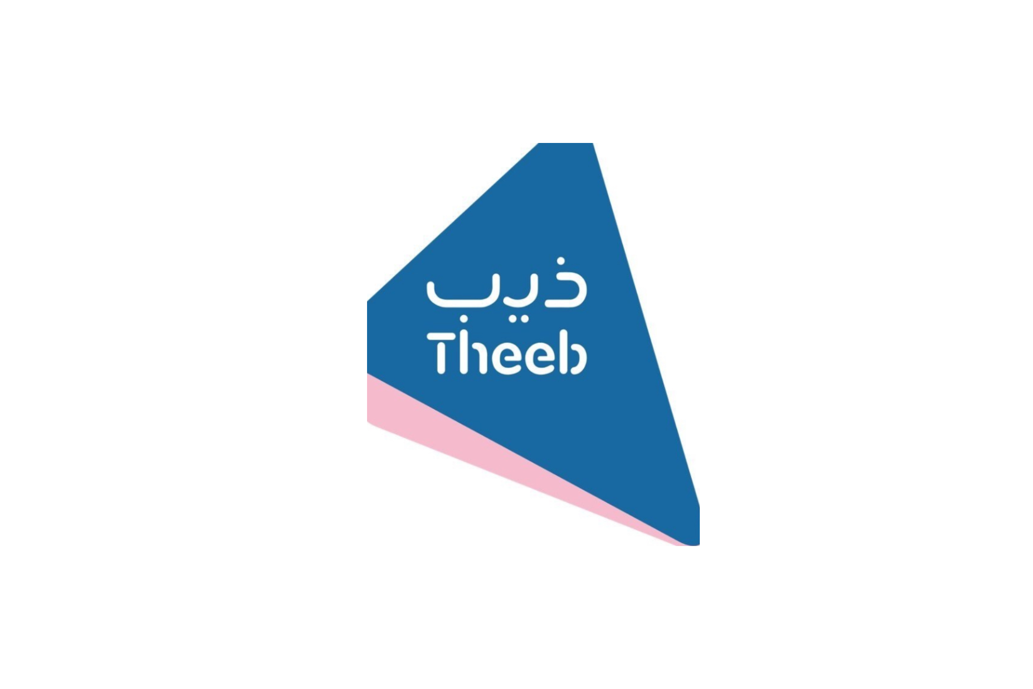 شركة ذيب لتأجير السيارات