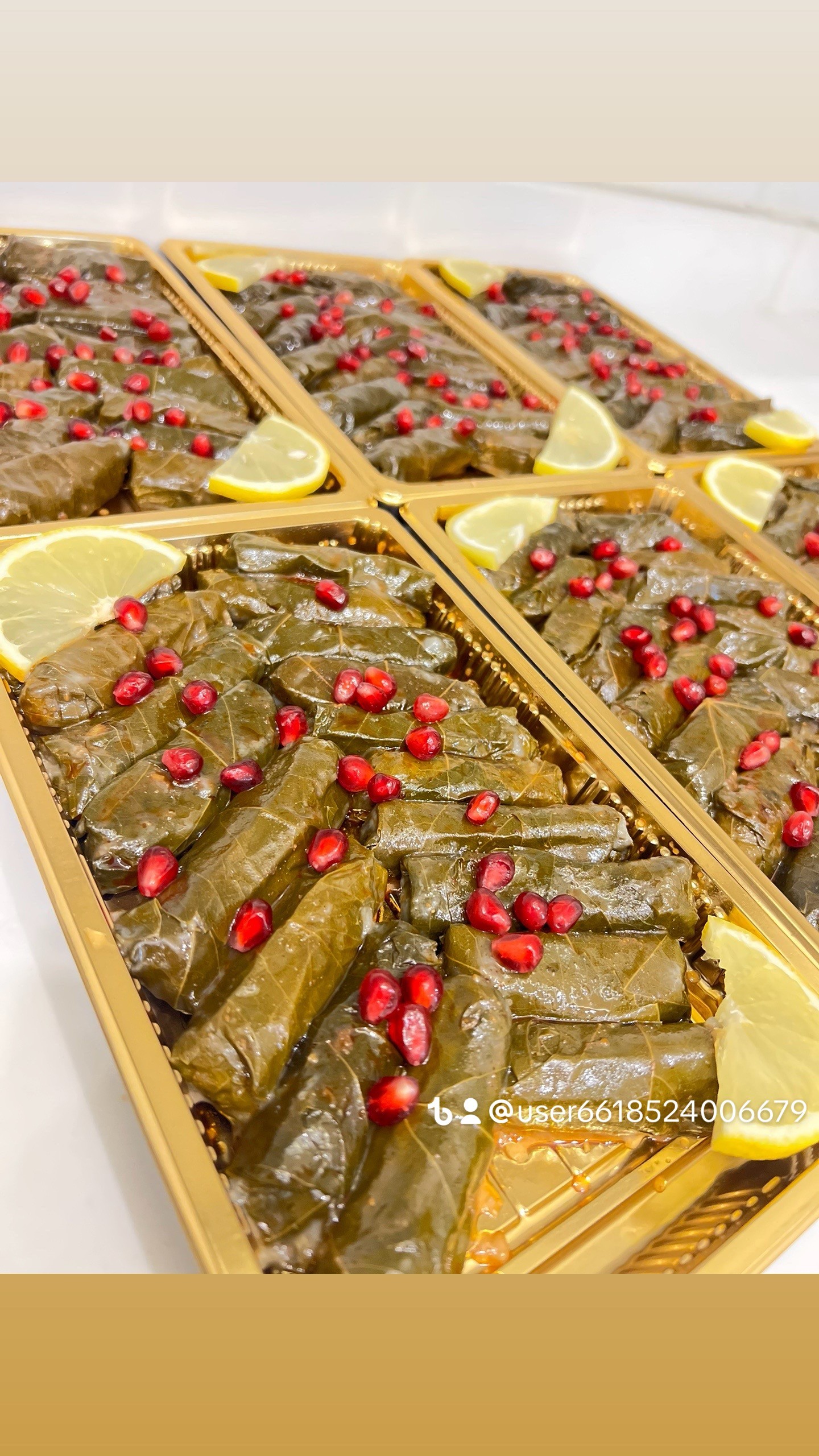 ورق عنب