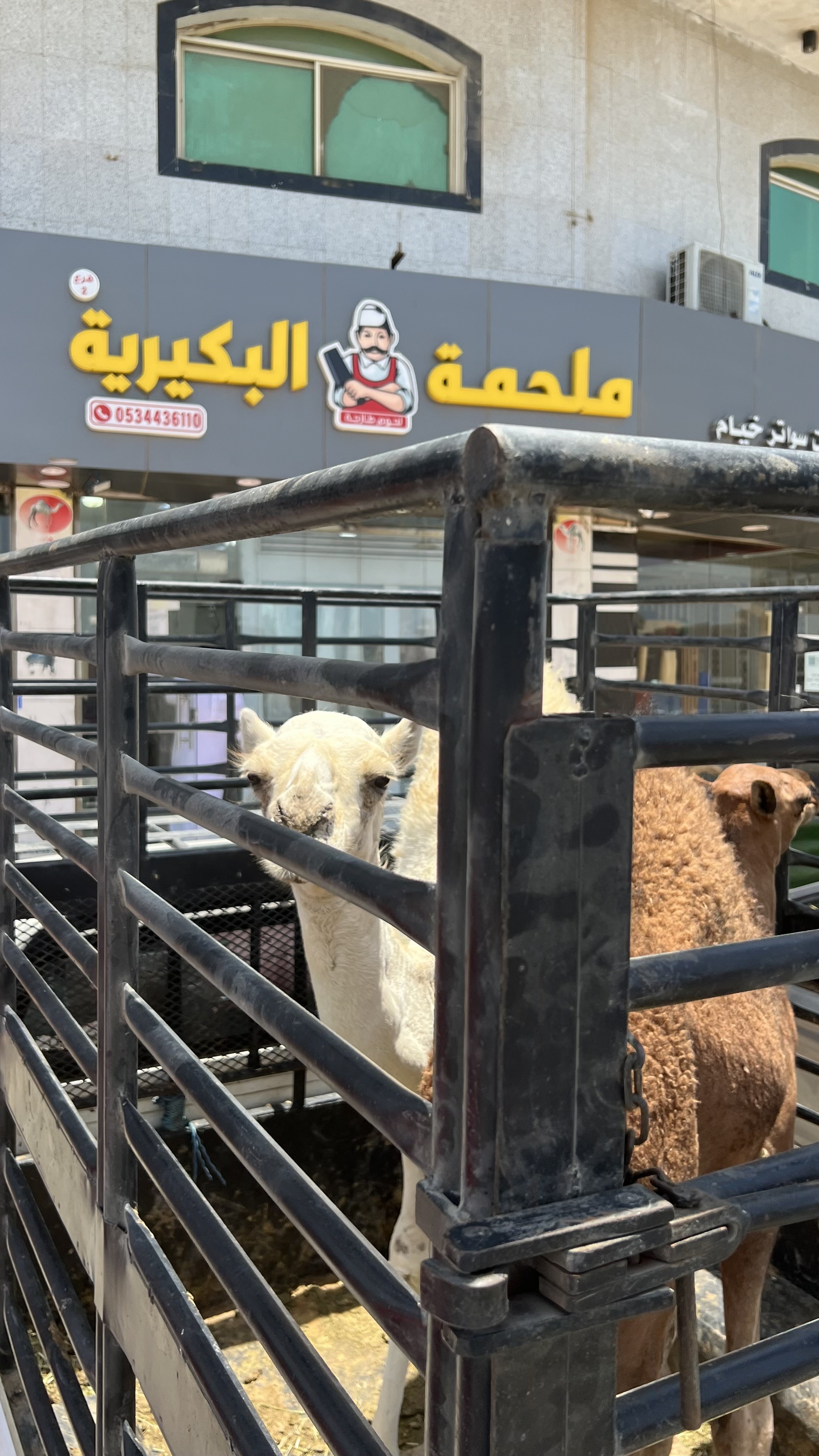 ملحمة البكيرية
