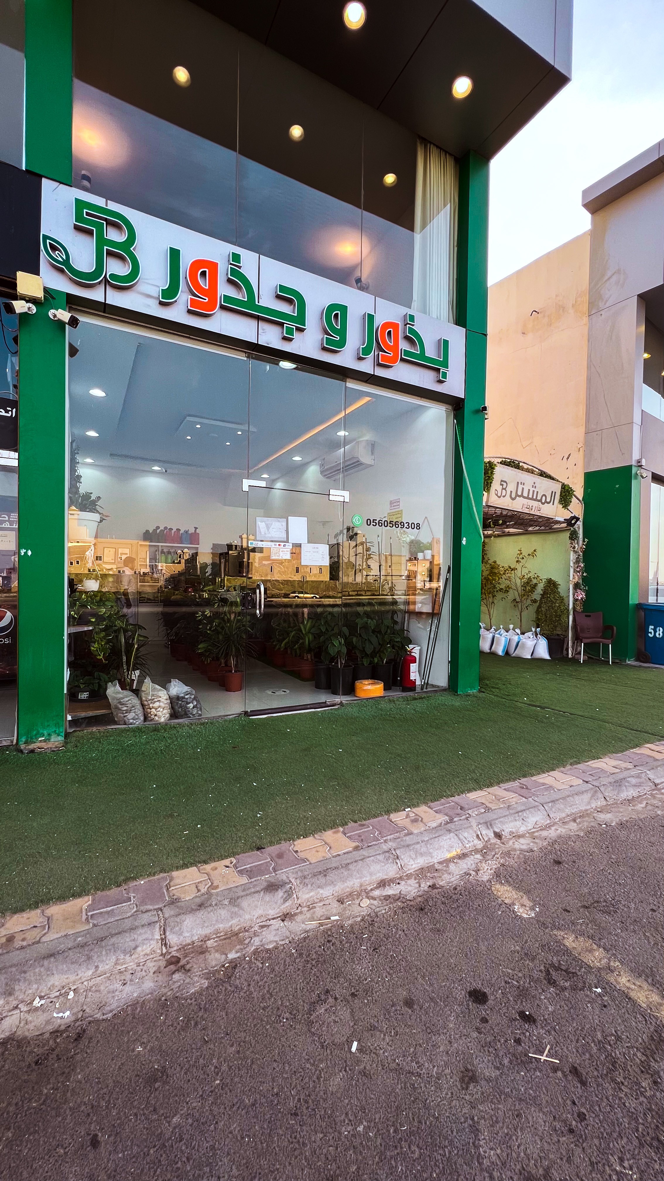 بذور وجذور