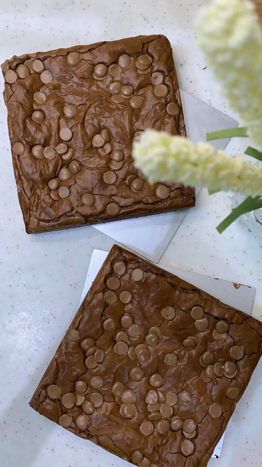 اسماء